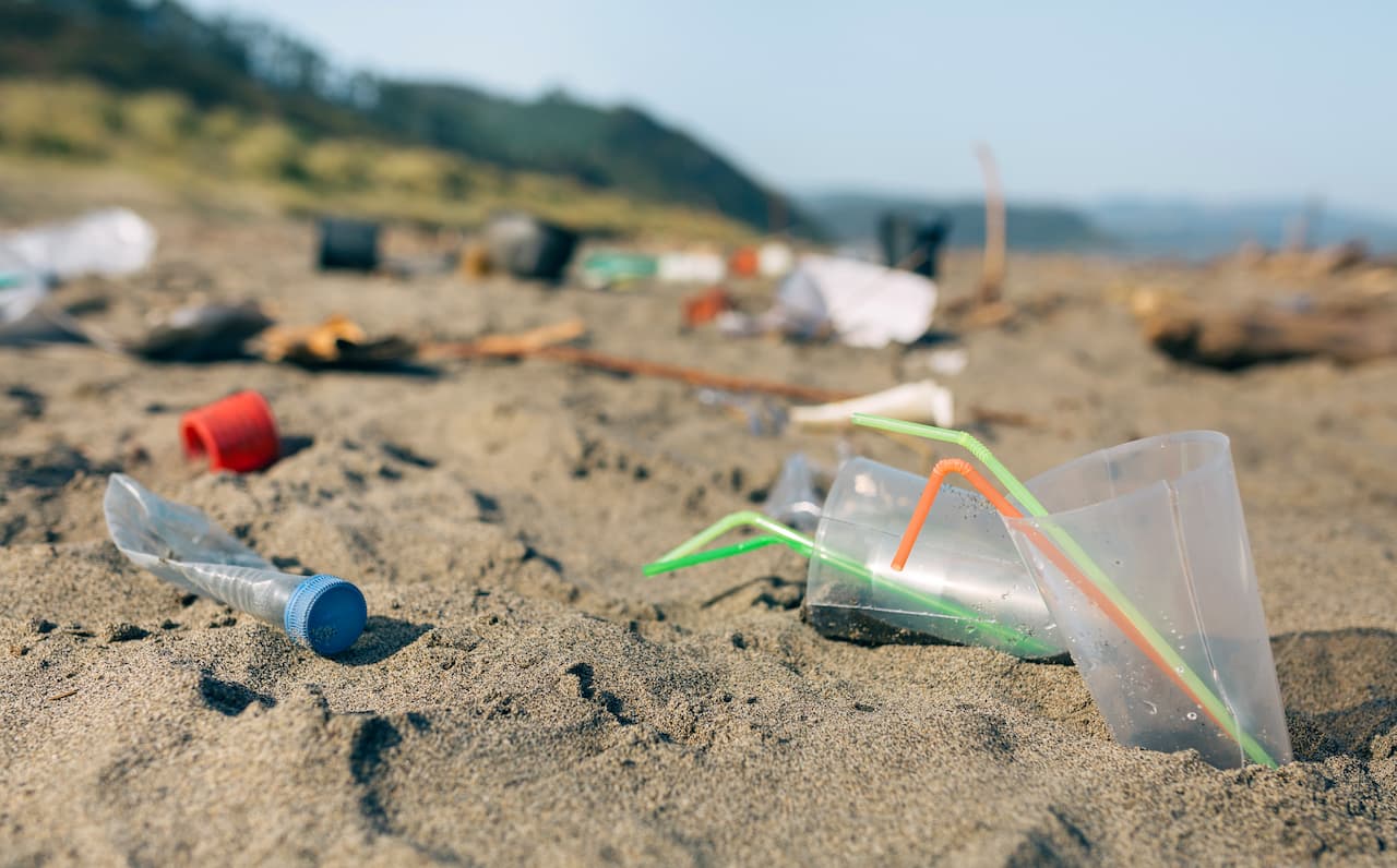 que problema ambiental está ocorrendo nesse local?​ 