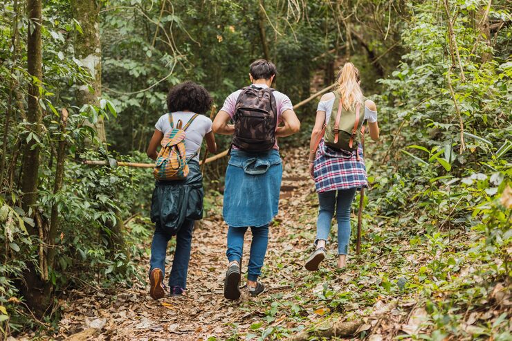 Principais diferenças entre excursões e expedições no turismo